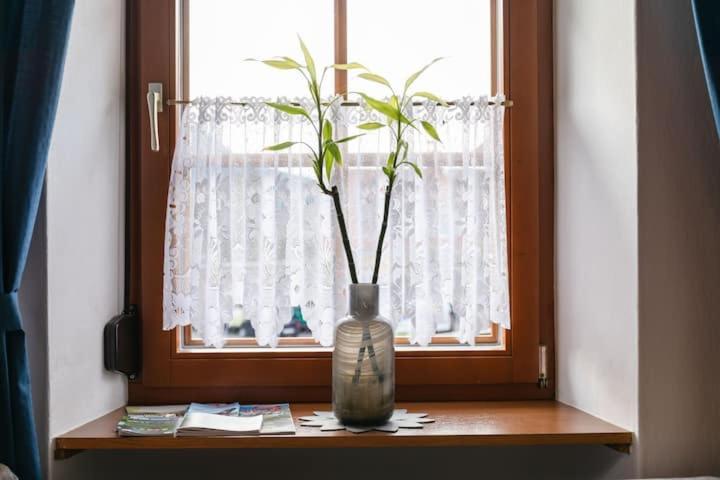 Vanek Apartment Kotschach-Mauthen 외부 사진
